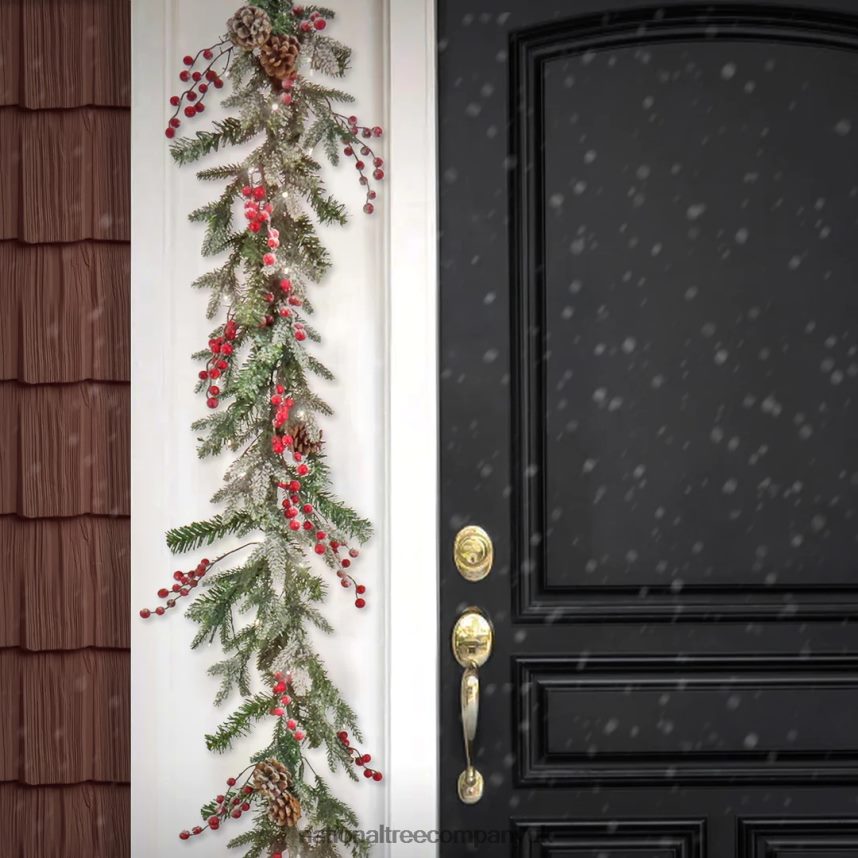 Greenery | National Tree Company 6 ft HGTV Home Collection Pre-Lit Frosted Traditions Garland F2L4F349